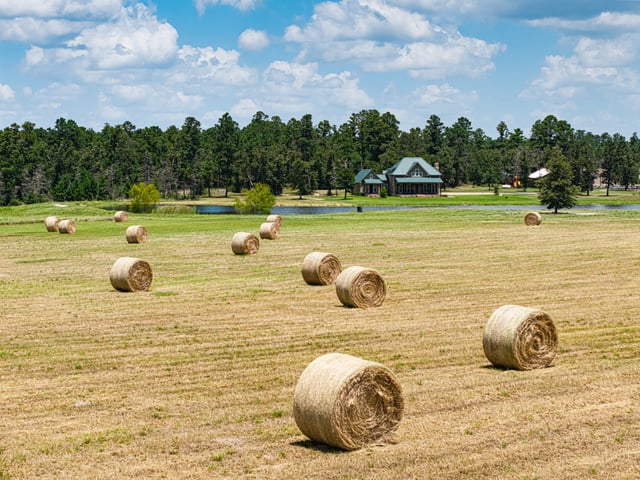Ranch & land