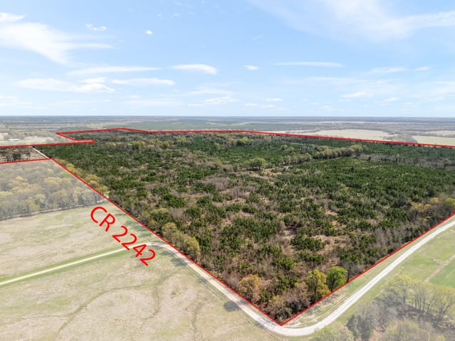 Raw land — FM 195 Bagwell