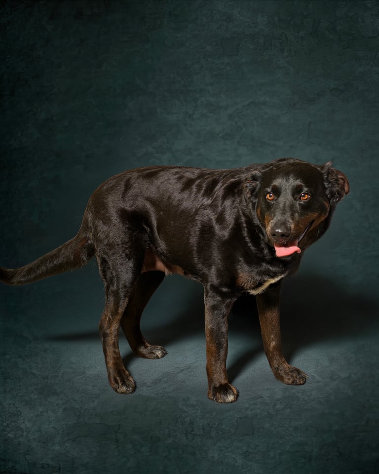 Additional photo of SAVVY