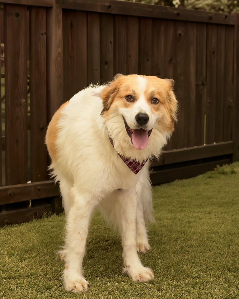 Additional photo of FRIZZY
