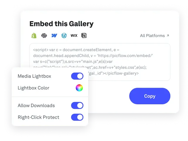 Gallery Embed Code Visual