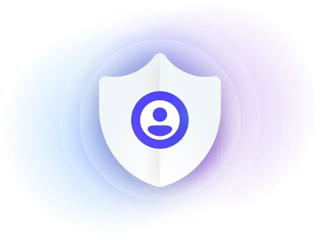 Privacy Shield Visual