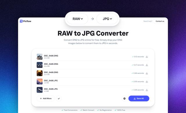 Screenshot of the Picflow RAW Converter
