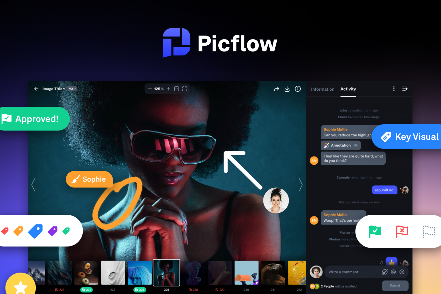 Product Visual of Picflow (picflow.com)