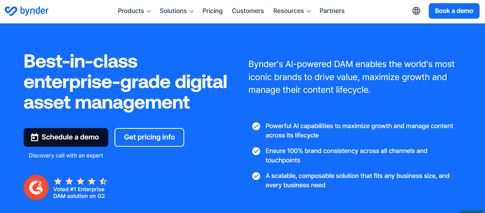 filecamp alternatives bynder