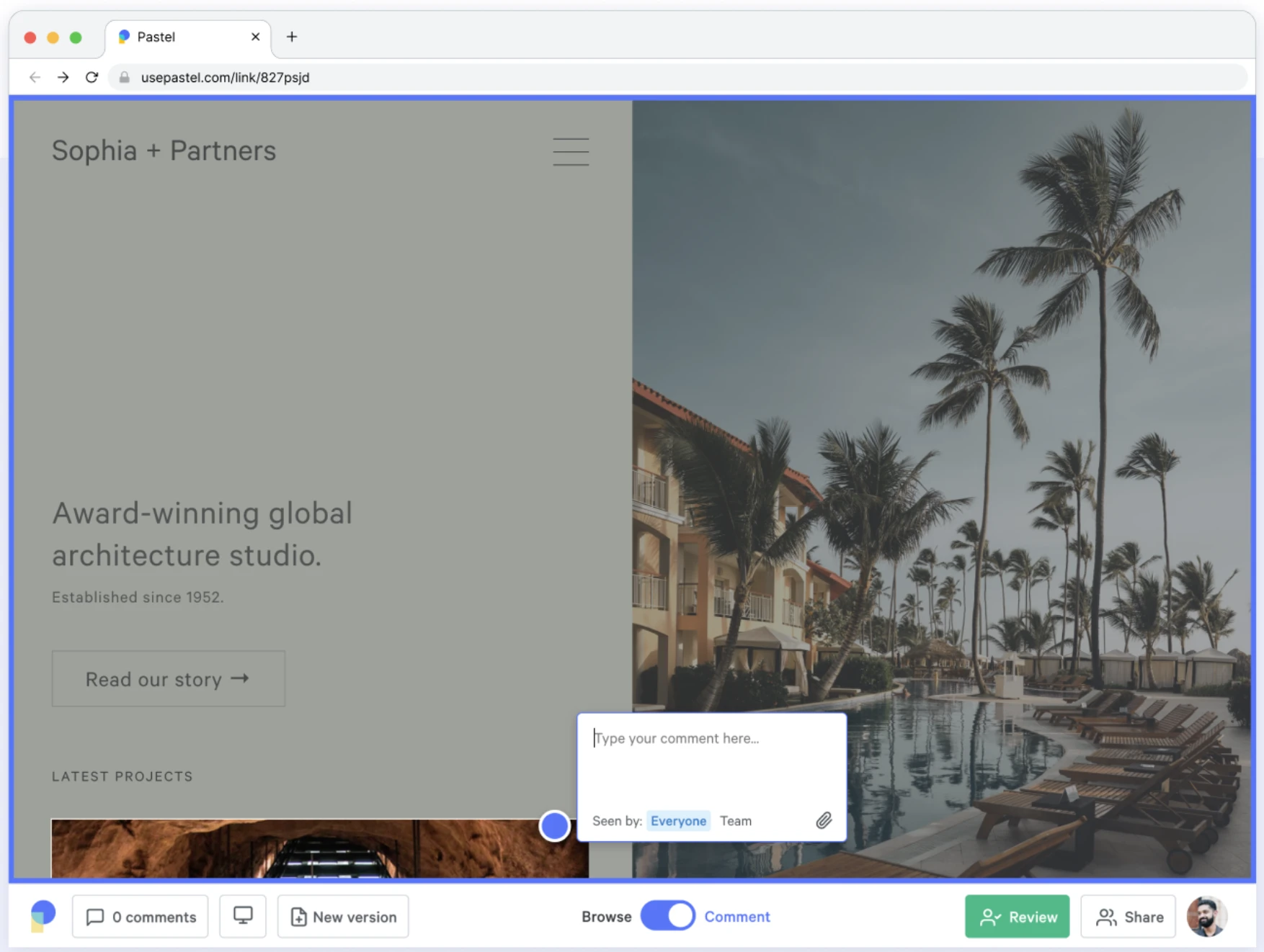 Pastel software commenting interface