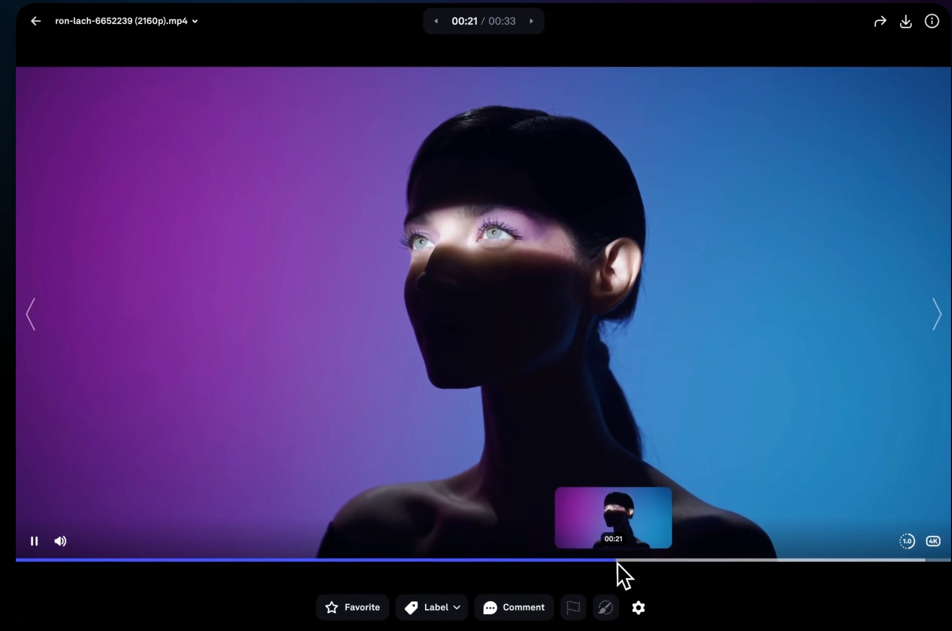 Video Player with Thumbnail Preview