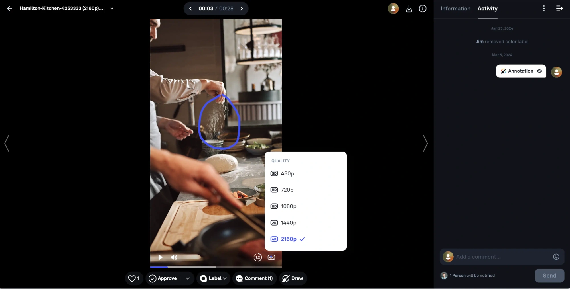 Video Playback Quality and Annotation
