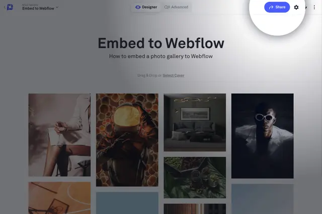 Share button highlight for Webflow