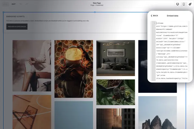 Paste embed code dialog on Squarespace