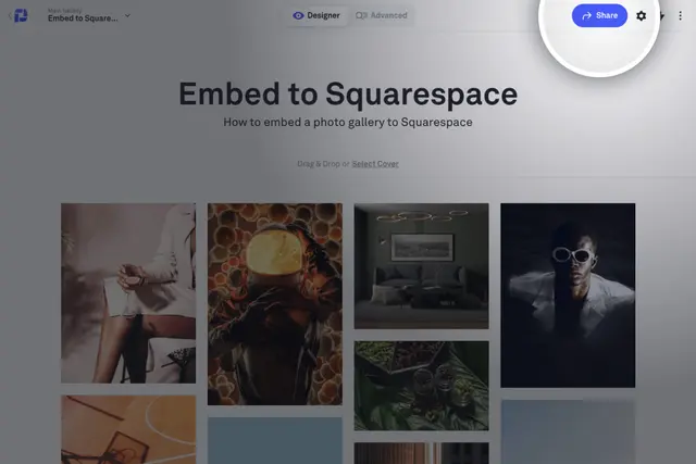 Share gallery button highlight for Squarespace