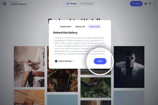 Copy embed code dialog for Webflow