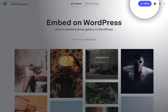 Share gallery button highlight
