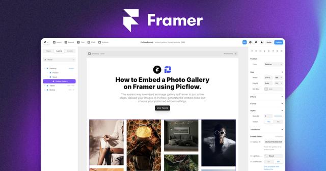 Framer website with an embedded photo gallery