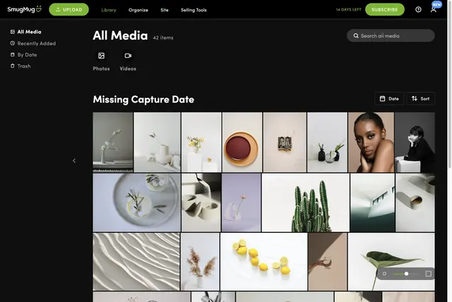 SmugMug User Interface of the User Dashboard Screen