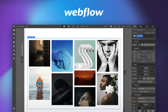 Webflow page editor with an embedded Picflow gallery