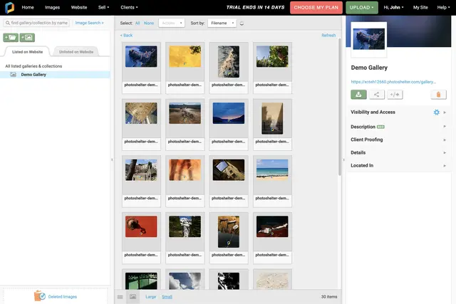 PhotoShelter User Interface of the Gallery Screen