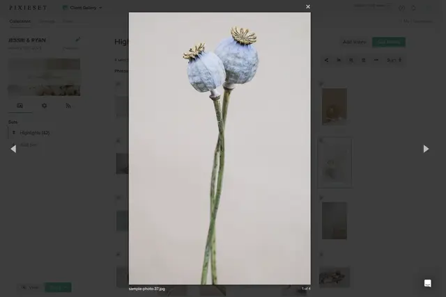 Pixieset User Interface of the Image Viewer