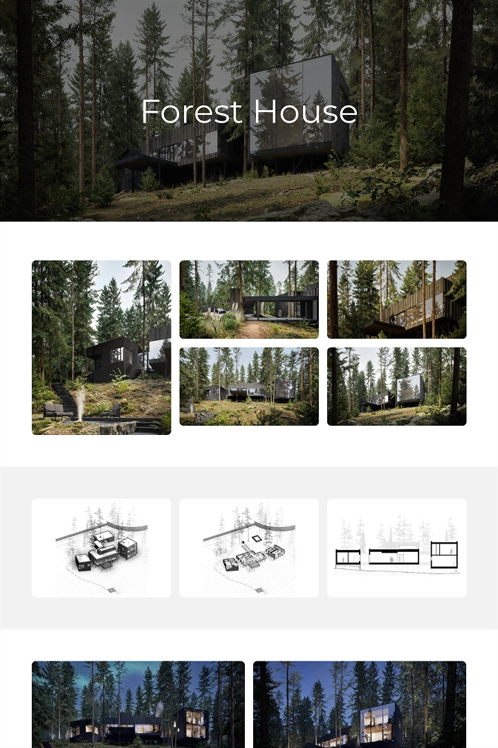 Showcase Visual of Forest House